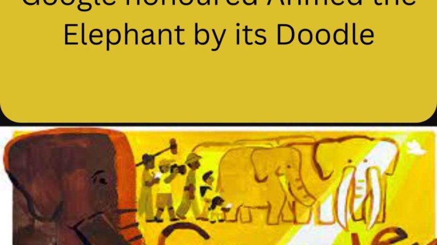 Google-honoured-Ahmed-the-Elephant-by-its-Doodle