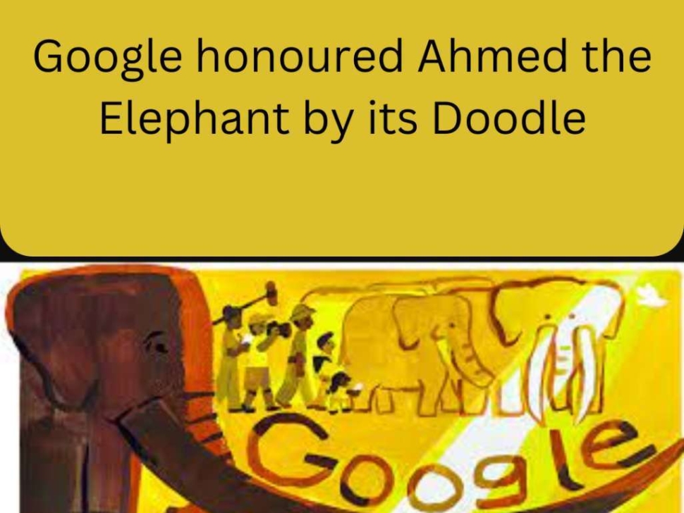 Google-honoured-Ahmed-the-Elephant-by-its-Doodle